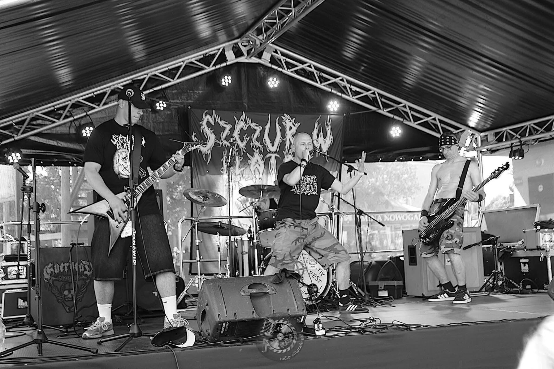 Szczur w Klatce